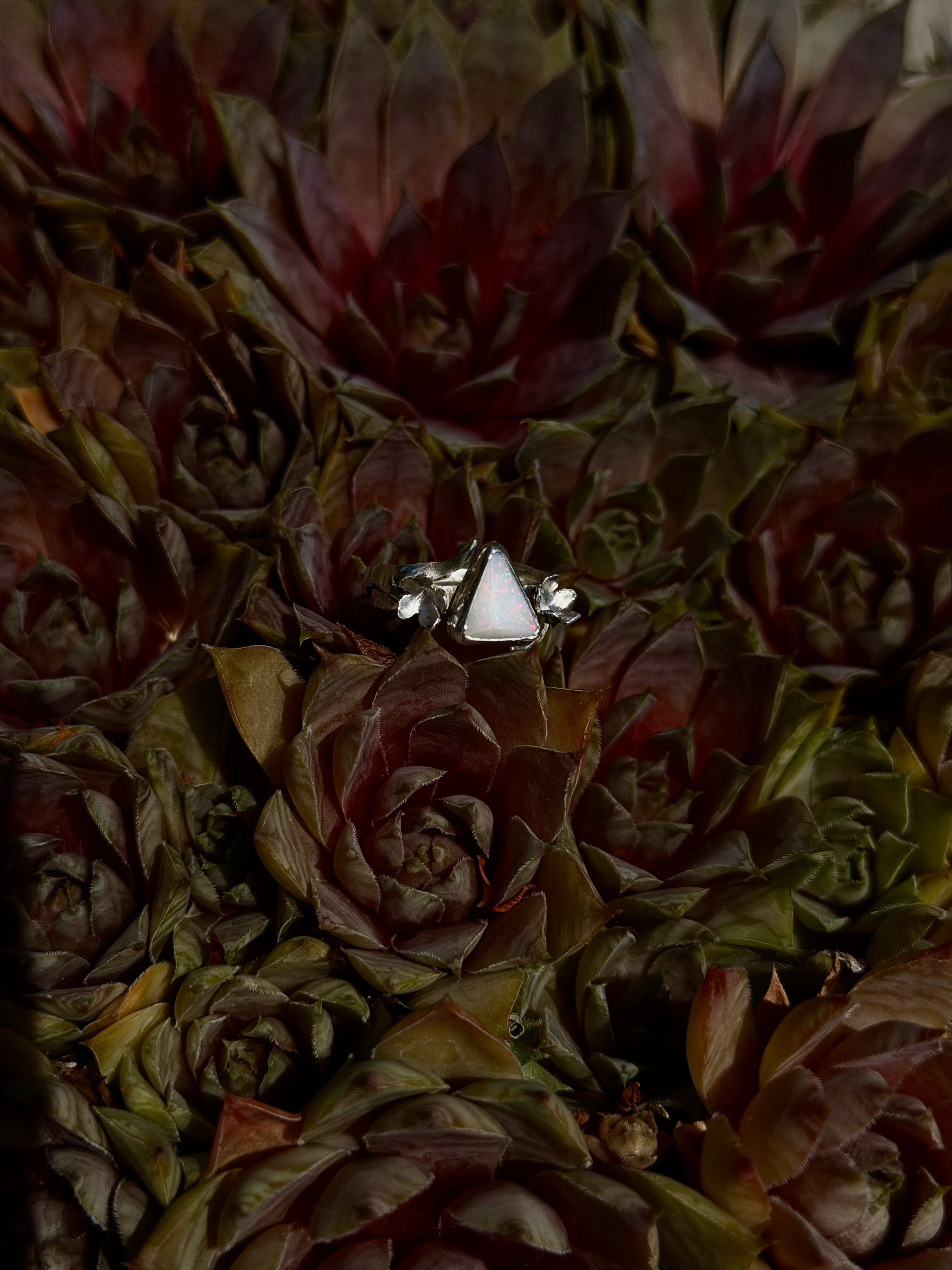 Sterling Silver Coober Pedy Ring of Floral Whimsy Size 4.5